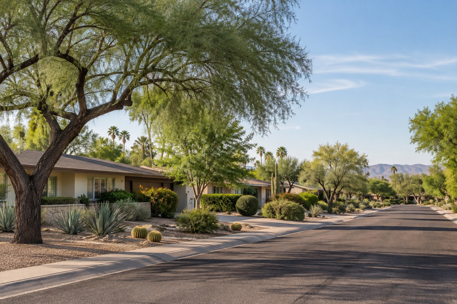 South Scottsdale